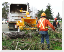 woodchipping