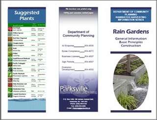 Rain Garden Techniques