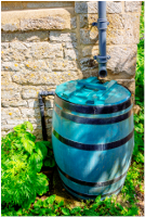 Rain Barrel 2